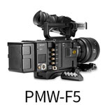 sony-F5-button2
