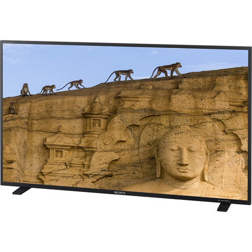 Studio Monitors and TVs