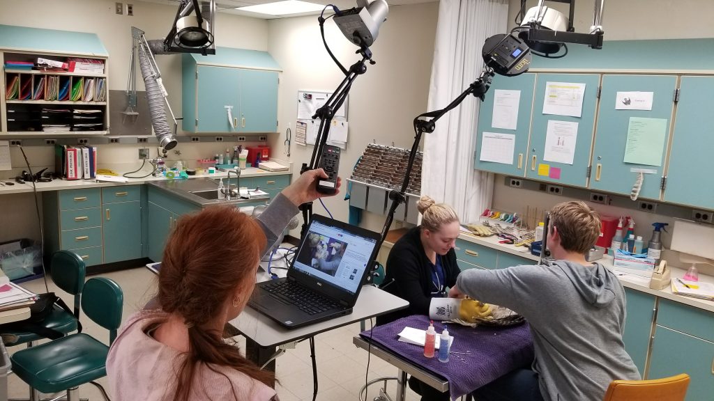 Z Systems Raptor Center Main Image