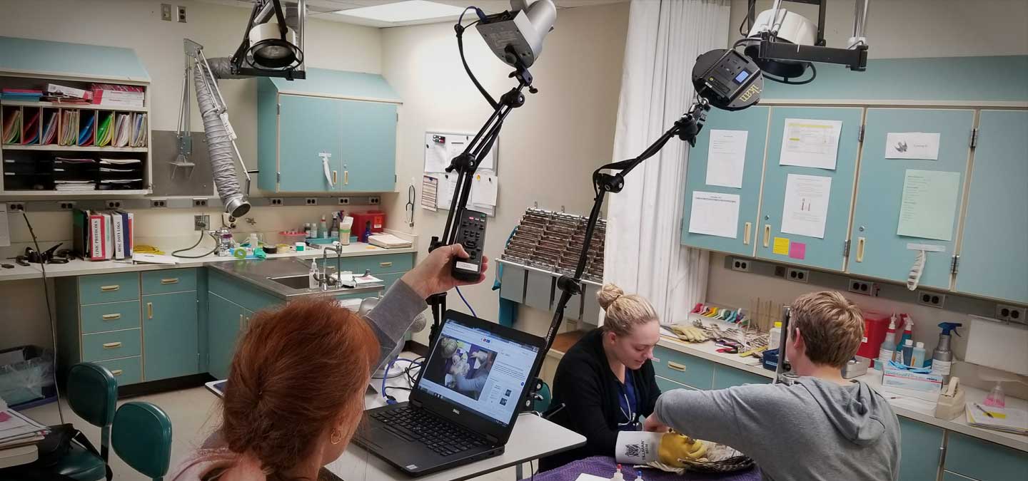 Z Systems Raptor Center Homepage Slide